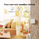 81gWrXY0FGL._AC_SX679_-1536x1536.webp