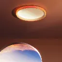 ceiling-light_-1536x1536.webp
