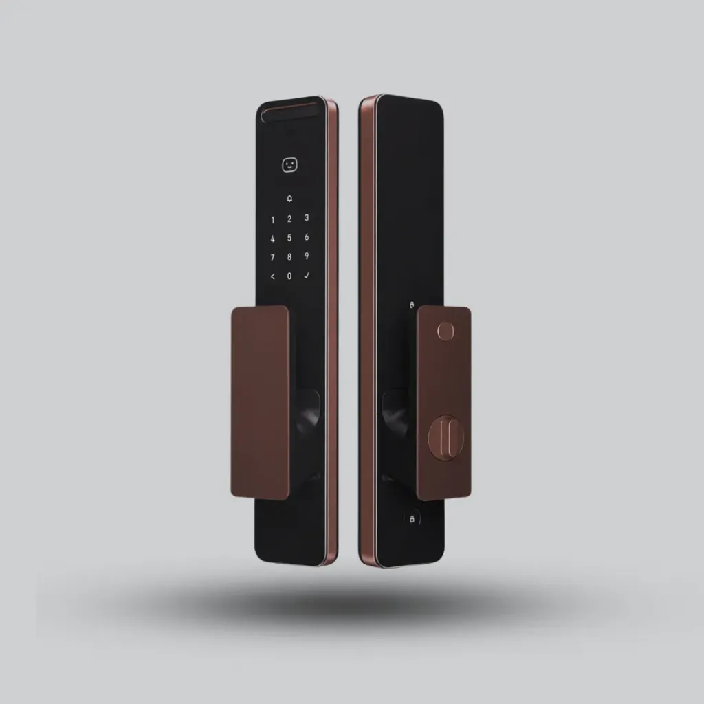 [ML-D01D] Aqara Smart Lock D200i